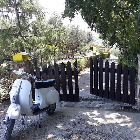 Casa Del Leone Rosso E Welness A Due Passi Dalla Costa Dei Trabocchi San Vito Chietino Exterior foto