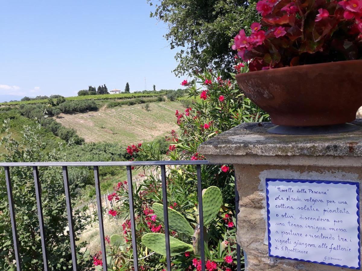 Casa Del Leone Rosso E Welness A Due Passi Dalla Costa Dei Trabocchi San Vito Chietino Exterior foto