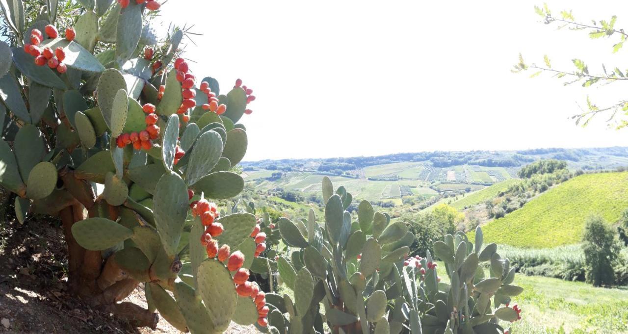 Casa Del Leone Rosso E Welness A Due Passi Dalla Costa Dei Trabocchi San Vito Chietino Exterior foto